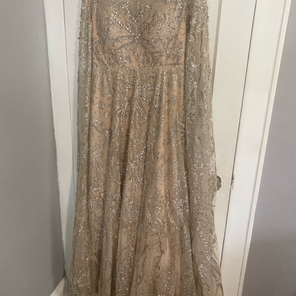 Elegant Silver Embellished Gown - Picture 7 of 8